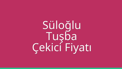 Süloğlu Çekici Fiyatı – Tuşba Oto Kurtarıcı Ücreti