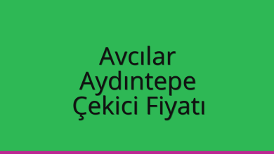 Avcılar Çekici Fiyatı - Aydıntepe Oto Kurtarıcı Ücreti Avcılar Çekici Fiyatı – Aydıntepe Oto Kurtarıcı Ücreti