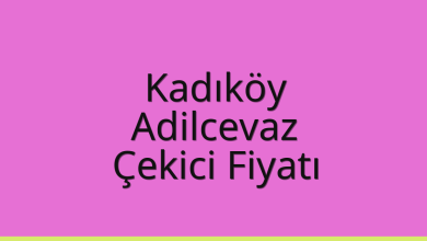 Kadıköy Çekici Fiyatı – Adilcevaz Oto Kurtarıcı Ücreti