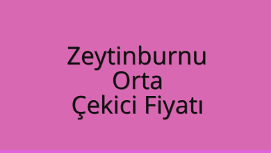 Zeytinburnu Çekici Fiyatı - Orta Oto Kurtarıcı Ücreti Zeytinburnu Çekici Fiyatı – Orta Oto Kurtarıcı Ücreti