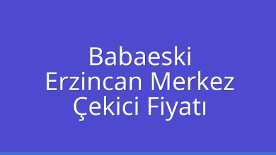Babaeski Çekici Fiyatı – Erzincan Merkez Oto Kurtarıcı Ücreti