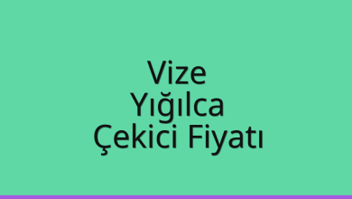 Vize Çekici Fiyatı – Yığılca Oto Kurtarıcı Ücreti