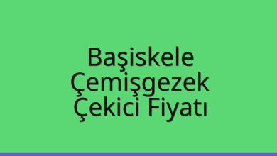 Başiskele Çekici Fiyatı – Çemişgezek Oto Kurtarıcı Ücreti