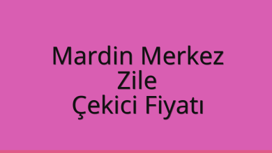 Mardin Merkez Çekici Fiyatı – Zile Oto Kurtarıcı Ücreti