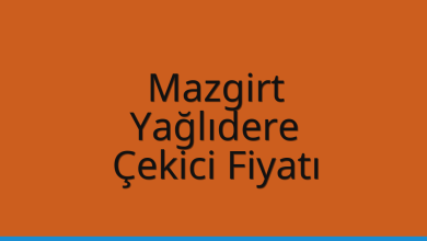 Mazgirt Çekici Fiyatı – Yağlıdere Oto Kurtarıcı Ücreti