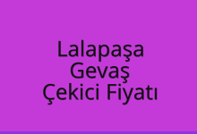 Lalapaşa Çekici Fiyatı – Gevaş Oto Kurtarıcı Ücreti