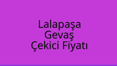 Lalapaşa Çekici Fiyatı – Gevaş Oto Kurtarıcı Ücreti