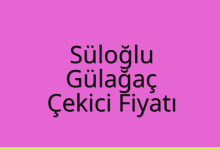 Süloğlu Çekici Fiyatı – Gülağaç Oto Kurtarıcı Ücreti
