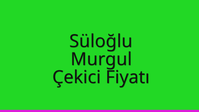Süloğlu Çekici Fiyatı - Murgul Oto Kurtarıcı Ücreti Süloğlu Çekici Fiyatı – Murgul Oto Kurtarıcı Ücreti