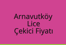 Arnavutköy Çekici Fiyatı – Lice Oto Kurtarıcı Ücreti