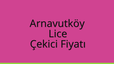 Arnavutköy Çekici Fiyatı – Lice Oto Kurtarıcı Ücreti