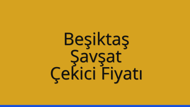 Beşiktaş Çekici Fiyatı – Şavşat Oto Kurtarıcı Ücreti