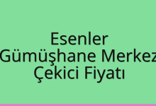Esenler Çekici Fiyatı – Gümüşhane Merkez Oto Kurtarıcı Ücreti