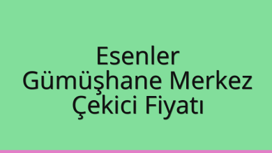 Esenler Çekici Fiyatı – Gümüşhane Merkez Oto Kurtarıcı Ücreti
