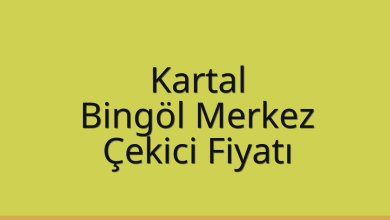 Kartal Çekici Fiyatı – Bingöl Merkez Oto Kurtarıcı Ücreti