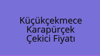 Küçükçekmece Çekici Fiyatı – Karapürçek Oto Kurtarıcı Ücreti