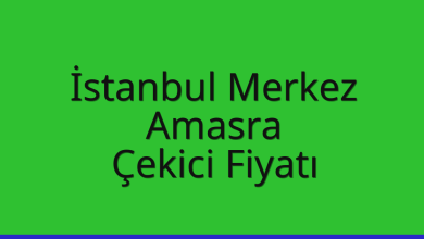 İstanbul Merkez Çekici Fiyatı – Amasra Oto Kurtarıcı Ücreti