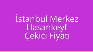 İstanbul Merkez Çekici Fiyatı – Hasankeyf Oto Kurtarıcı Ücreti