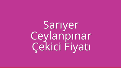 Sarıyer Çekici Fiyatı – Ceylanpınar Oto Kurtarıcı Ücreti