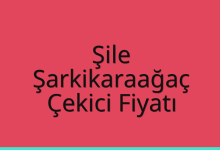 Şile Çekici Fiyatı – Şarkikaraağaç Oto Kurtarıcı Ücreti