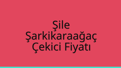 Şile Çekici Fiyatı – Şarkikaraağaç Oto Kurtarıcı Ücreti