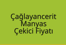 Çağlayancerit Çekici Fiyatı – Manyas Oto Kurtarıcı Ücreti