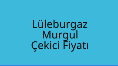 Lüleburgaz Çekici Fiyatı – Murgul Oto Kurtarıcı Ücreti