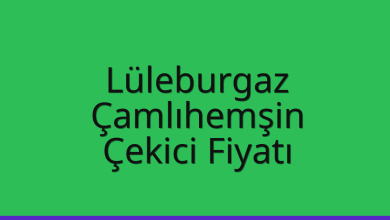 Lüleburgaz Çekici Fiyatı – Çamlıhemşin Oto Kurtarıcı Ücreti