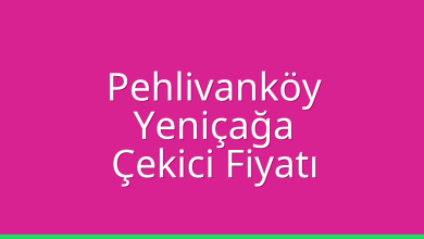 Pehlivanköy Çekici Fiyatı – Yeniçağa Oto Kurtarıcı Ücreti