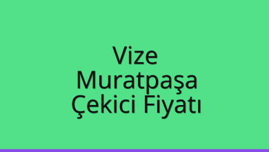 Vize Çekici Fiyatı – Muratpaşa Oto Kurtarıcı Ücreti