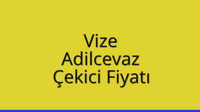 Vize Çekici Fiyatı – Adilcevaz Oto Kurtarıcı Ücreti