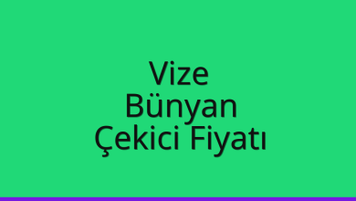 Vize Çekici Fiyatı – Bünyan Oto Kurtarıcı Ücreti