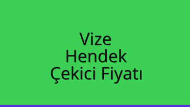 Vize Çekici Fiyatı – Hendek Oto Kurtarıcı Ücreti