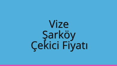 Vize Çekici Fiyatı – Şarköy Oto Kurtarıcı Ücreti