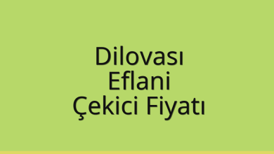 Dilovası Çekici Fiyatı – Eflani Oto Kurtarıcı Ücreti