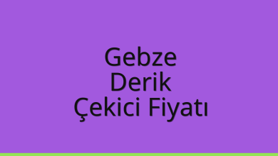 Gebze Çekici Fiyatı – Derik Oto Kurtarıcı Ücreti