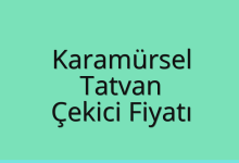 Karamürsel Çekici Fiyatı – Tatvan Oto Kurtarıcı Ücreti
