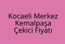 Kocaeli Merkez Çekici Fiyatı – Kemalpaşa Oto Kurtarıcı Ücreti