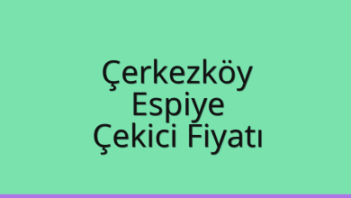 Çerkezköy Çekici Fiyatı – Espiye Oto Kurtarıcı Ücreti