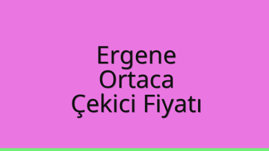 Ergene Çekici Fiyatı - Ortaca Oto Kurtarıcı Ücreti Ergene Çekici Fiyatı – Ortaca Oto Kurtarıcı Ücreti