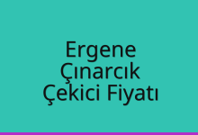 Ergene Çekici Fiyatı – Çınarcık Oto Kurtarıcı Ücreti