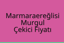 Marmaraereğlisi Çekici Fiyatı – Murgul Oto Kurtarıcı Ücreti