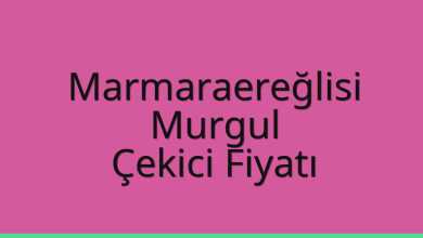 Marmaraereğlisi Çekici Fiyatı – Murgul Oto Kurtarıcı Ücreti