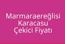 Marmaraereğlisi Çekici Fiyatı – Karacasu Oto Kurtarıcı Ücreti