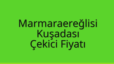 Marmaraereğlisi Çekici Fiyatı – Kuşadası Oto Kurtarıcı Ücreti