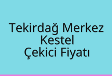 Tekirdağ Merkez Çekici Fiyatı – Kestel Oto Kurtarıcı Ücreti