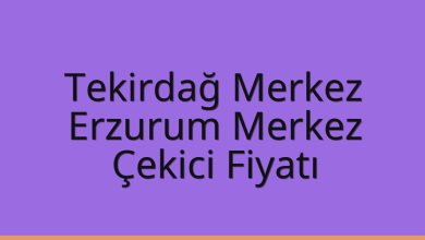 Tekirdağ Merkez Çekici Fiyatı – Erzurum Merkez Oto Kurtarıcı Ücreti