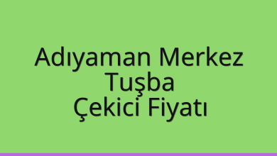 Adıyaman Merkez Çekici Fiyatı - Tuşba Oto Kurtarıcı Ücreti Adıyaman Merkez Çekici Fiyatı – Tuşba Oto Kurtarıcı Ücreti