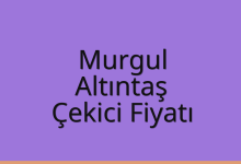 Murgul Çekici Fiyatı – Altıntaş Oto Kurtarıcı Ücreti