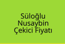Süloğlu Çekici Fiyatı – Nusaybin Oto Kurtarıcı Ücreti